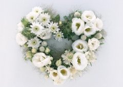 5.12 | 國際護(hù)士節(jié)，預(yù)祝5.14 | 母親節(jié)快樂！